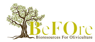 BeFOre Project – Bioresources For Oliviculture